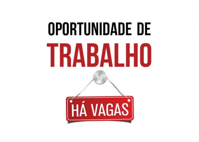 Coordenador Operacional (Impo / Expo / Agenciamento carga)